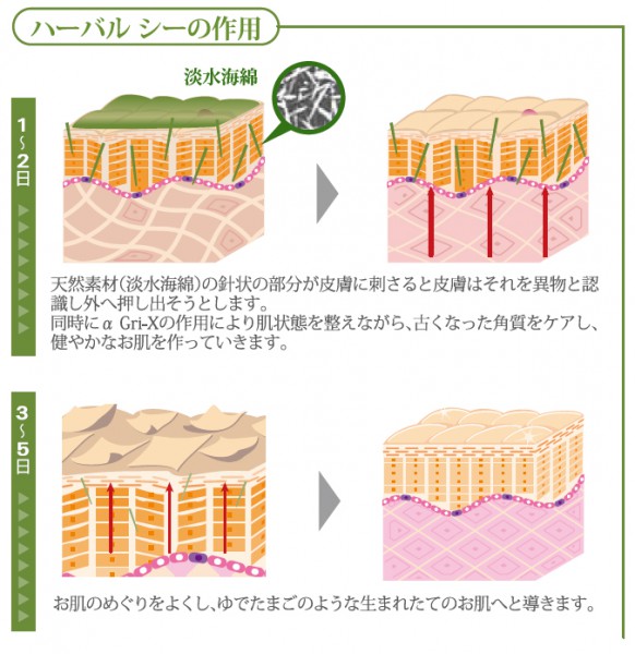 ハーバルシー