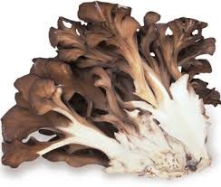 maitake