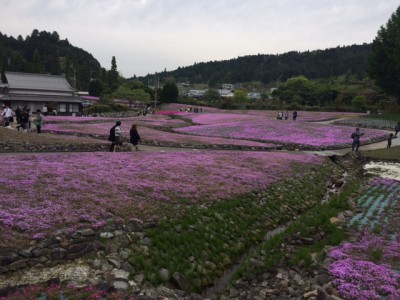 じゅうたん