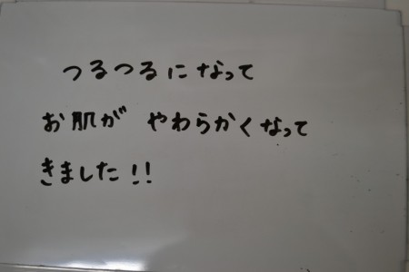 28年６月１１日取り込み (278)