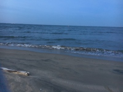海