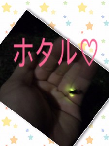 ほたる