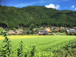 美山1