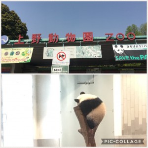 上野動物園